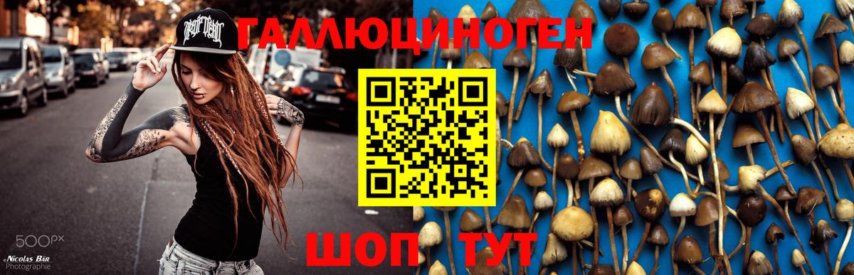 Галлюциногенные грибы Magic Shrooms Калуга