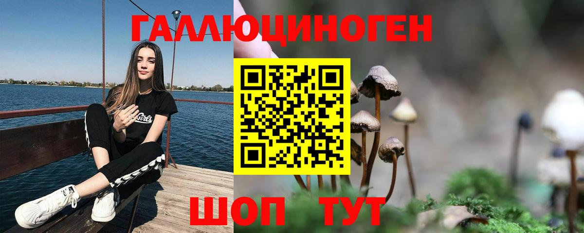 Псилоцибиновые грибы Magic Shrooms  Вход с VPN  Калуга 